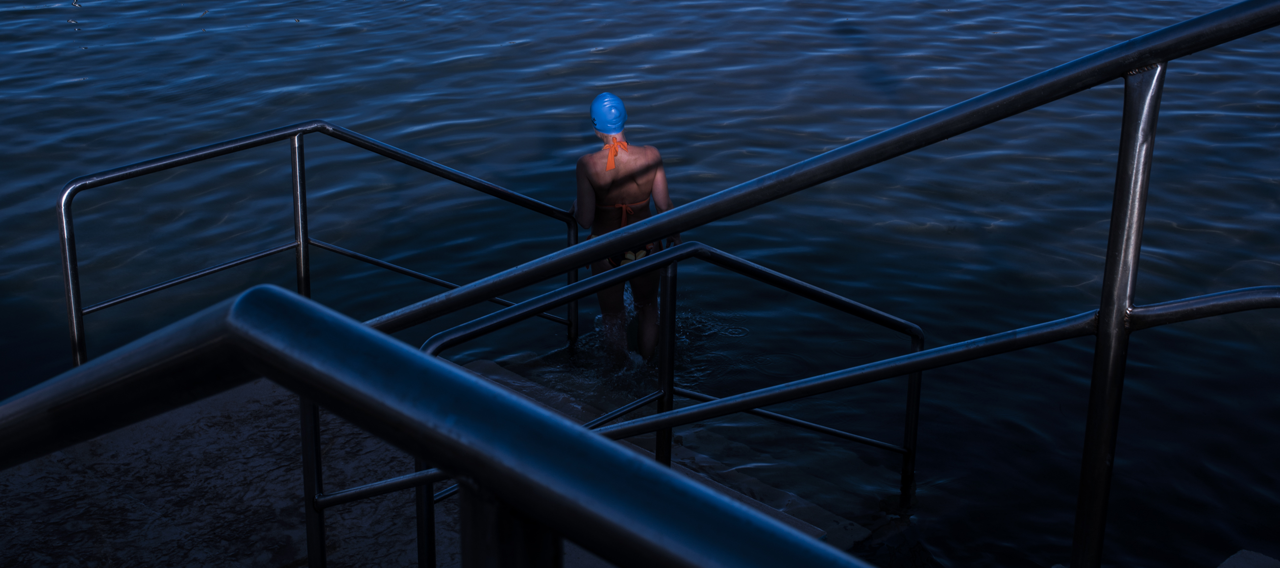 Blue Swimmer 